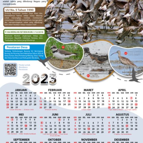 Poster Kalender Burung Migran A3 Resize - FINAL 191022